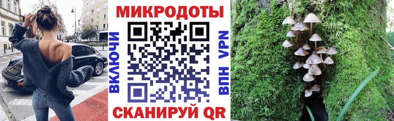 Купить  Бирюсинск  Галлюциногенные грибы Psilocybe 
